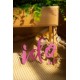 En stock - IDO DOLL - Isabelle - 175cm D-CUP 